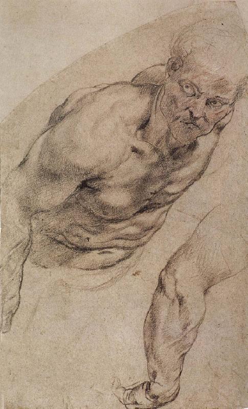 Peter Paul Rubens Portrait of naked man oil painting image